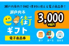 電子商品券　瀬戸内市e街ギフト（3，000円分） チケット [№5735-0618]