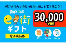電子商品券　瀬戸内市e街ギフト（30，000円分） チケット [№5735-0620]