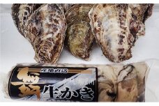 牡蠣 2025年 先行予約 牡蠣むき身 500gと 殻付牡蠣 10個 セット 山銀商店 瀬戸内海虫明湾産 [№5735-0681]