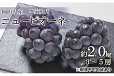 ぶどう 2025年 先行予約 ご家庭用 ニュー ピオーネ 約2.0kg （3～5房） ブドウ 葡萄  岡山県産 国産 フルーツ 果物  [№5735-0691]