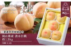 桃 2025年 先行予約 清水白桃 約1.3kg 5～6玉 もも モモ 岡山県産 国産 フルーツ 果物 ギフト [№5735-0694]