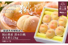 桃 2025年 先行予約 清水白桃 約2.2kg 大玉 6～7玉 もも モモ 岡山県産 国産 フルーツ 果物 ギフト  [№5735-0695]
