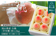 桃 2025年 先行予約 白桃 早生種 約1.3kg  5～6玉 もも モモ 岡山県産 国産 フルーツ 果物 ギフト  [№5735-0693]