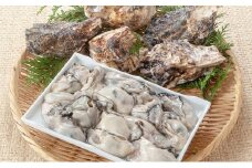牡蠣 2025年 先行予約 殻付き牡蠣 お徳用 半斗缶 (約50個)約5kg～6kg 山銀商店 瀬戸内海虫明湾産 約6kg前後 [№5735-0697]