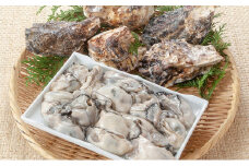 牡蠣 2025年 先行予約 殻付き牡蠣 お徳用 半斗缶 (約50個)約5kg～6kg 山銀商店 瀬戸内海虫明湾産 約6kg前後 [№5735-0697]