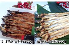 あなご 先行予約 山銀商店 白焼き ・ かば焼き あなご セット （合計約600g) 産地直送 穴子 魚介類 [№5735-0709]