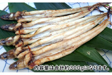 あなご 先行予約 山銀商店 白焼き あなご (合計約300g) 産地直送 穴子 魚介類 [№5735-0708]