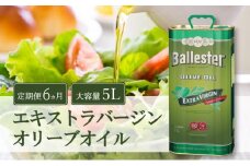 【定期便6ヵ月】バジェステル　エキストラバージンオリーブオイル5L [№5735-0722]