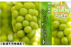 ぶどう 2025年 先行予約 シャイン マスカット 約1.3kg 2～3房 ブドウ 葡萄  岡山県産 国産 フルーツ 果物 ギフト [№5735-0786]