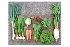 ORGANIC FARM 風の谷　旬の自然栽培野菜　7～9品目 [№5735-0799]