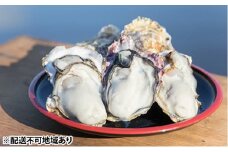 牡蠣 2025年先行予約 モリ旬 牡蠣 殻付き 約3kg 岡山県 瀬戸内市 虫明産 [№5735-0889]