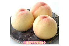 桃 2025年 先行予約 白桃 8玉 合計約2.0kg もも モモ 岡山県産 国産 フルーツ 果物 ギフト [№5735-0880]