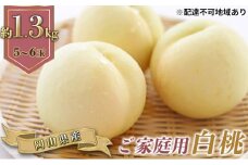 桃 2025年 先行予約 ご家庭用 岡山の 白桃 早生種 5～6玉 合計約1.3kg もも モモ 岡山県産 国産 フルーツ 果物 ギフト 果肉  [№5735-0885]