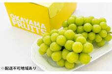 ぶどう 2025年 先行予約 ご家庭用 シャイン マスカット 2～3房 合計約1.2kg ブドウ 葡萄  岡山県産 国産 フルーツ 果物 ギフト [№5735-0887]