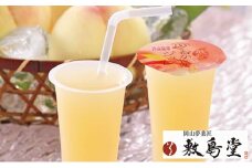敷島堂 飲む 岡山清水白桃ジュレ 6本入 [№5735-0912]