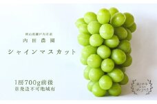 シャインマスカット1房（700g前後）内田農園 岡山県 瀬戸内市 邑久町産 葡萄 ぶどう 2025年【配達不可：北海道・沖縄・離島】 果物類 ブドウ フルーツ	 [№5735-0929]