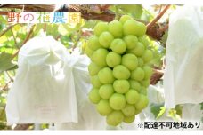 シャインマスカット 2房 合計約1.4kg●7月中旬～8月下旬発送分　野の花農園岡山県産  [№5735-0932]