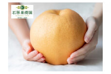 梨 2025年 先行予約 備前横綱梨（あたご梨） 2玉 (1玉1～1.4kg）贈答箱【11月下旬～12月中旬頃発送】 ナシ なし 岡山県産 国産 フルーツ 果物 ギフト 石原果樹園 [№5735-0953]