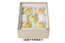桃 2025年 先行予約 岡山特産 清水白桃 約1.5kg 5玉 桐箱入りもも モモ 岡山 国産 フルーツ 果物 ギフト 桃茂実苑  [№5735-0968]