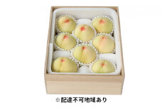 桃 2025年 先行予約 岡山特産 清水白桃 約2.0kg 7～8玉 桐箱入りもも モモ 岡山 国産 フルーツ 果物 ギフト 桃茂実苑  [№5735-0969]