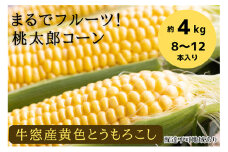［2025年先行予約］ まるでフルーツ！最高糖度25度超え 生で甘い、茹でて美味い！牛窓産 黄色 とうもろこし 「桃太郎コーン」約4kg（8～12本入り）[№5735-0982]