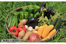 甘味に自信あり！彩り 野菜 BOX（7種類）【配達不可：北海道・沖縄・離島】 [№5735-0985]