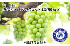ぶどう 氷温(登録商標) シャインマスカット 1房（700g以上） マスカット ブドウ 葡萄  岡山県産 国産 フルーツ 果物 ギフト 黒川農園 [№5735-1025]