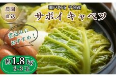 瀬戸内牛窓産 サボイキャベツ 約1.8kg（2～3玉） [№5735-1022]