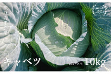 瀬戸内 牛窓産 キャベツ 約10kg（4～8玉） 野菜 [№5735-1030]