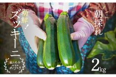 瀬戸内牛窓産 ズッキーニ 約2kg（12本前後） [№5735-1031]