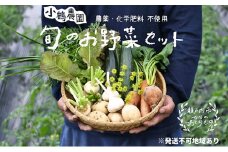 小鶴農園 季節のお野菜7～9品目セット（農薬・化学肥料不使用）【配達不可：北海道・沖縄・離島】 [№5735-1047]