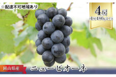 ぶどう 2025年 先行予約 ニュー ピオーネ 4房（1房480g以上） ブドウ 葡萄  岡山県産 国産 フルーツ 果物 ギフト [№5735-1089]