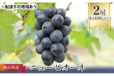 ぶどう 2025年 先行予約 ニュー ピオーネ 2房（1房480g以上） ブドウ 葡萄  岡山県産 国産 フルーツ 果物 ギフト [№5735-1090]