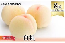 桃 2025年 先行予約 白桃 8玉（合計1.7kg以上）化粧箱入り もも モモ 岡山県産 国産 フルーツ 果物 ギフト [№5735-1096]