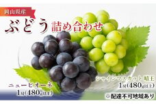 ぶどう 2025年 先行予約 詰め合わせ ニュー ピオーネ 1房（480g以上）・ シャイン マスカット 晴王 1房（480g以上）化粧箱入り ブドウ 葡萄  岡山県産 国産 フルーツ 果物 ギフト [№5735-1098]