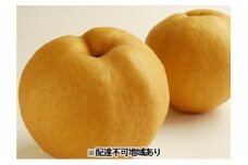 梨 早期受付 岡山 の あたご 梨 2～3玉（2kg以上） 合計2kg以上 なし ナシ 岡山県産 国産 フルーツ 果物 ギフト桃茂実苑 あたご梨 糖度12.5度以上 2キロ [№5735-1101]