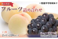 桃 ぶどう 2025年 先行予約 詰め合わせ 白桃 2玉（1玉220g以上）・ニュー ピオーネ２房（1房480g以上）化粧箱入り もも 葡萄 岡山県産 国産 フルーツ 果物 ギフト [№5735-1099]