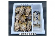 内田水産 牡蠣 むき身 500g、小サイズ 殻付き 牡蠣 約2kgセット※加熱調理用  岡山県 瀬戸内 牛窓産  [№5735-1127]