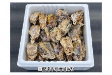 内田水産 瀬戸内 牛窓産 小サイズ殻付き 牡蠣 約3kg ※加熱調理用  岡山県 瀬戸内 牛窓産  [№5735-1128]