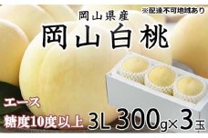 桃 2025年 先行予約 岡山 白桃 エース 3玉×約300g（3Lサイズ） JAおかやまのもも（早生種・中生種） もも モモ 岡山県産 国産 フルーツ 果物 ギフト [№5735-1196]