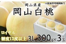 桃 2025年 先行予約 岡山 白桃 ロイヤル 3玉×約300g（3Lサイズ）JAおかやまのもも（早生種・中生種） もも モモ 岡山県産 国産 フルーツ 果物 ギフト [№5735-1198]