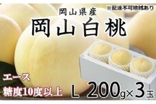 桃 2025年 先行予約 岡山 白桃 エース 3玉×約200g（Lサイズ） JAおかやまのもも（早生種・中生種） もも モモ 岡山県産 国産 フルーツ 果物 ギフト [№5735-1202]
