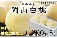 桃 2025年 先行予約 岡山 白桃 ロイヤル 3玉×約200g（Lサイズ）JAおかやまのもも（早生種・中生種） もも モモ 岡山県産 国産 フルーツ 果物 ギフト [№5735-1204]