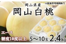 桃 2025年 先行予約 岡山 白桃 エース 5～10玉 約2.4kg  JAおかやまのもも（早生種・中生種） もも モモ 岡山県産 国産 フルーツ 果物 ギフト [№5735-1205]
