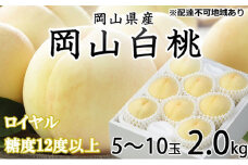 桃 2025年 先行予約 岡山 白桃 ロイヤル 5～10玉 約2kg JAおかやまのもも（早生種・中生種） もも モモ 岡山県産 国産 フルーツ 果物 ギフト [№5735-1210]
