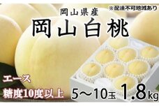 桃 2025年 先行予約 岡山 白桃 エース 5～10玉 約1.8kg JAおかやまのもも（早生種・中生種） もも モモ 岡山県産 国産 フルーツ 果物 ギフト [№5735-1211]