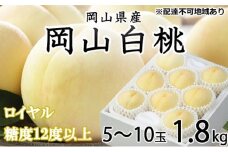 桃 2025年 先行予約 岡山 白桃 ロイヤル 5～10玉 約1.8kg JAおかやまのもも（早生種・中生種） もも モモ 岡山県産 国産 フルーツ 果物 ギフト [№5735-1213]
