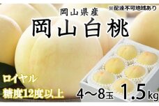 桃 2025年 先行予約 岡山 白桃 ロイヤル 4～8玉 約1.5kg JAおかやまのもも（早生種・中生種） もも モモ 岡山県産 国産 フルーツ 果物 ギフト [№5735-1216]