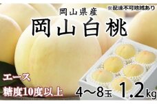 桃 2025年 先行予約 岡山 白桃 エース4～8玉 約1.2kg JAおかやまのもも（早生種・中生種） もも モモ 岡山県産 国産 フルーツ 果物 ギフト [№5735-1217]