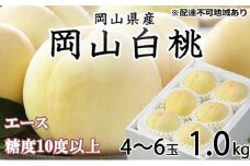 桃 2025年 先行予約 岡山 白桃 エース 4～6玉 約1kg JAおかやまのもも（早生種・中生種） もも モモ 岡山県産 国産 フルーツ 果物 ギフト [№5735-1220]